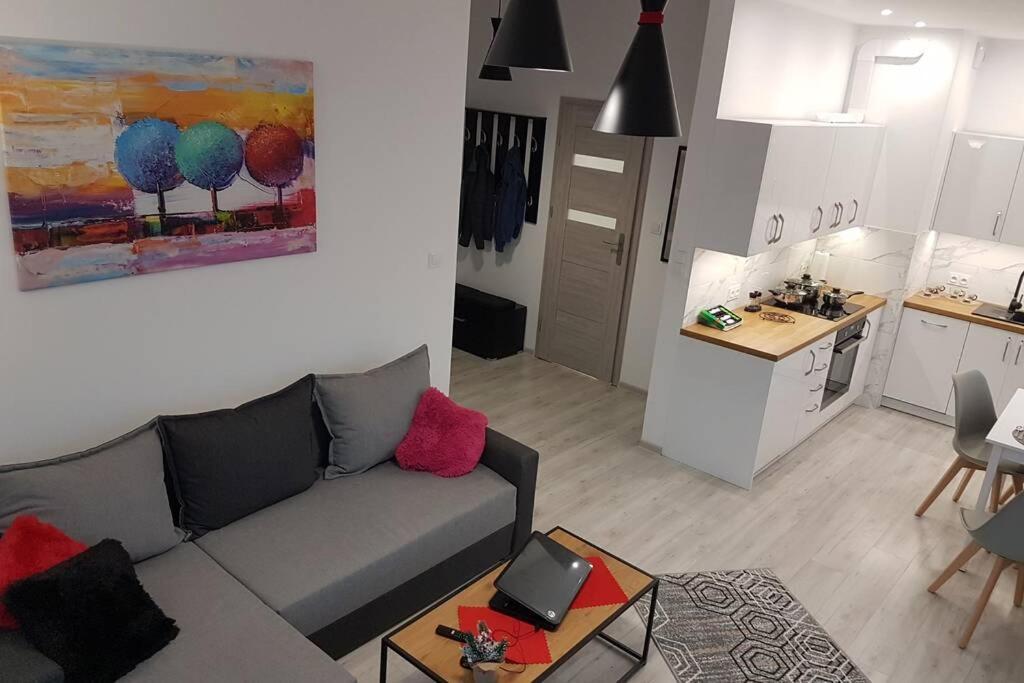 Komfortowy Nowoczesny Apartament Kustronia Z Garazem Balkonem Wanna 비엘스코-비아와 외부 사진